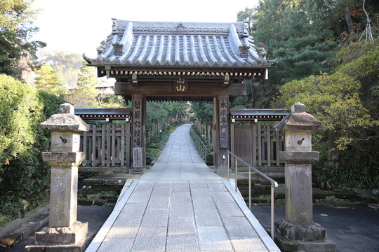 Zen Sitting Meditation Dojo At Engaku-ji Temple, Kamakura, Japan