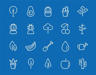   A set of Rosteniya Icons, and garden care, Vector illustration, Contains Icons such as tree, cactus, watering can, spade, flower and much more. on a white background, editable bar 480x480