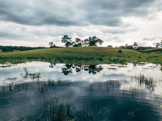 landscape with lake and trees