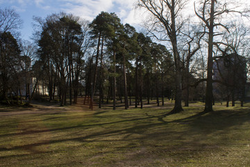 Park area in the city in late autumn