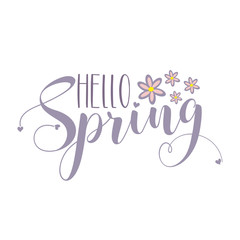 Hello Spring calligraphy with Daisy flowers. Good for greeting card, poster banner, textle print, and gift design.