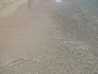 Obraz premium abstract natural background small fishes in coastal water on a background of sand in the Red Sea