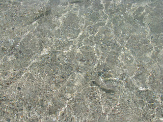 abstract natural background small fishes in coastal water on a background of sand in the Red Sea