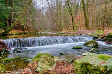 small waterfall is surrounded by moss and fallen autumn maple leaves, long exposure, spring scene