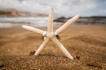 Fototapeta na wymiar Starfish on the beach holding two wedding rings