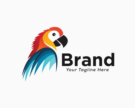 Elegant colorful parrot half body view logo design inspiration