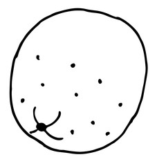 Orange fruit sketch. Vector isolated icon of fresh whole citrus orange