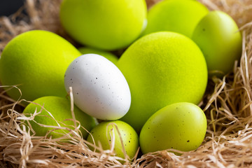 Close up of green yellow eggs  and one white egg in hay nest. Happy easter concept.