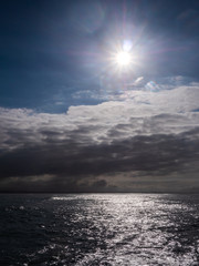 Fototapeta premium Contre jour