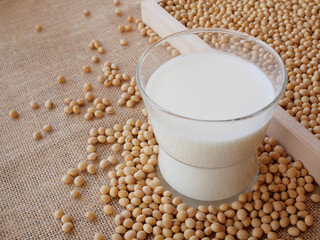 soy milk and soybean on the sack background