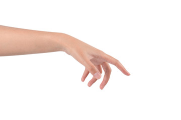 Beautiful female hand open and ready to reach or receive. Gesture isolated on white background. 