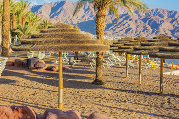 beach landscape park outdoor space with straw umbrella and palm trees sand ground near Red sea summer sunny weather day time without people here