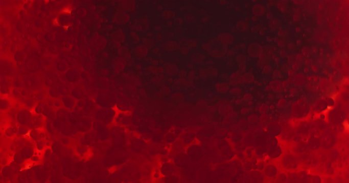 Small red blood cells in fluid