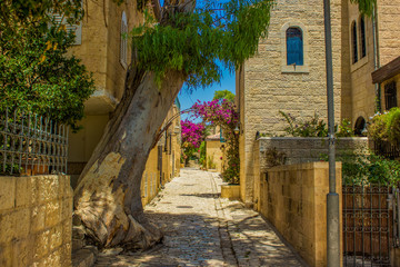 Fototapeta premium Jerusalem Israel old city street walk way passage back yard paved road between stone buildings garden park outdoor district without people here vivid colorful blossom plants and flowers spring time