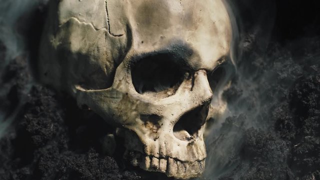 Human skull on the wet soild with smoke flowing