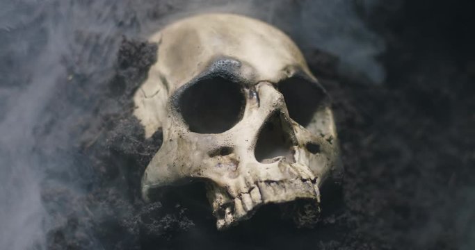 Human skull on the wet soild with smoke flowing