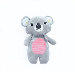 Plush gray kola bear soft toy isolated on the white background