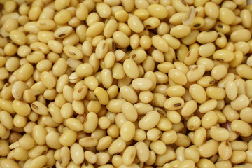 Top view of soybean which is rich of protein