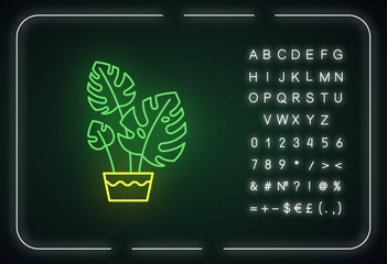 Monstera deliciosa neon light icon. Swiss cheese plant. Philodendron. Indoor tropical plant. Outer glowing effect. Sign with alphabet, numbers and symbols. Vector isolated RGB color illustration © IMG visuals icons