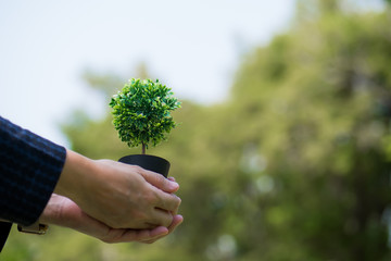 Hand holding artificial small plant