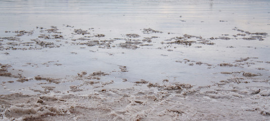 the shore of the estuary on which salt was previously mined.