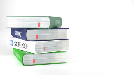 Books on white background, back to school concept 3D rendering