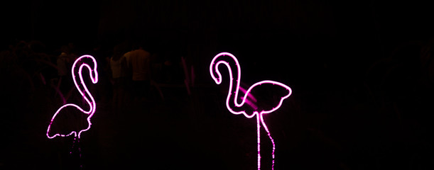 Flamingos neon sign of different colors, mostly pink and blue. Bright and colorful