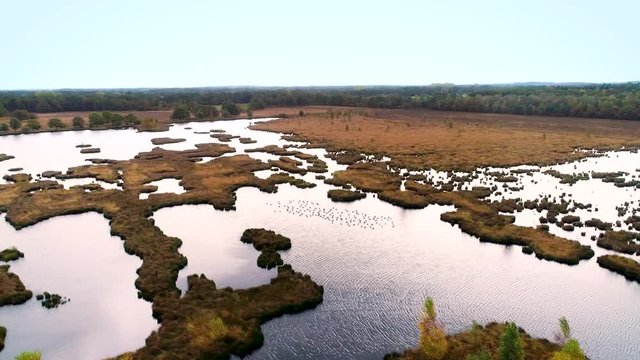 Beautiful Peat Nature of Dwingelderveld with a Flock of Birds, Drenthe, Netherlands / Holland &ndash; 4K Drone Footage