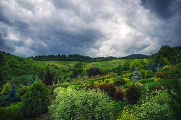 arboretum, botanical garden. Clouds over the green garden.