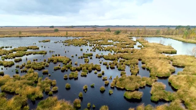 Beautiful Peat Nature of Dwingelderveld, Moving Forward, Drenthe, Netherlands / Holland &ndash; 4K Drone Footage
