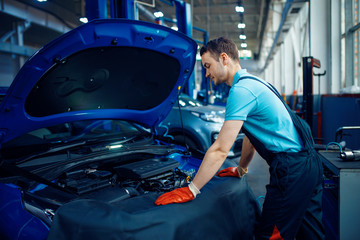 Smiling worker checks vehicle, car service station