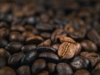 Close-up of roasted Thai coffee beans. Shallow depth of field.