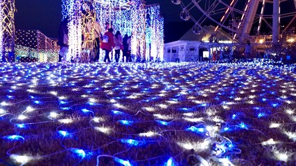 イルミネーションの海