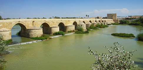 Fototapeta premium Cordoue