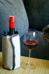 Cute scottish short hair cat sniffing red wine in the wineglass