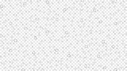 Water rain drops on transparent background, realistic style, vector elements
