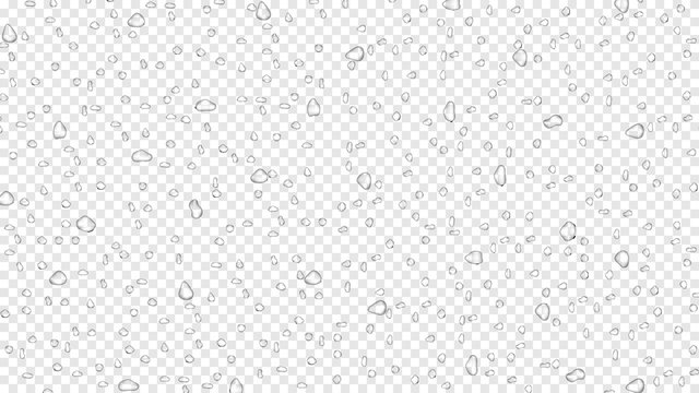 Water rain drops on transparent background, realistic style, vector elements