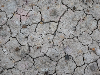 Dry Сracked Earth Background The Cracked Ground in Drought Soil