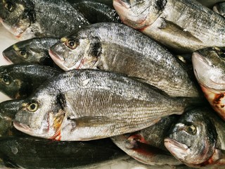 Dorada, fresh fish, sale in the store. Diet food. Mediterranean food. 