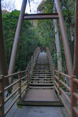 河津七滝一本橋