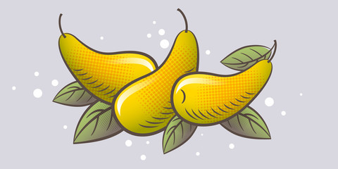 Some ripe pears on a light background. Ripe fruits and leaves illustration. Organic farm products. Engraved style.