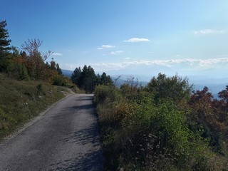 Mountain panorama with colorful trees and blue sky