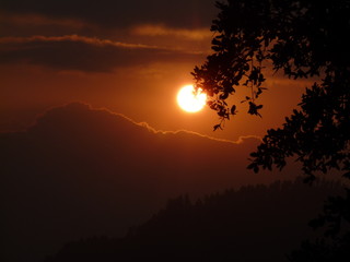 Fototapeta premium sunset behind a tree and clouds 