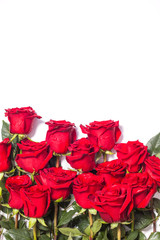 Red rose flowers on white background