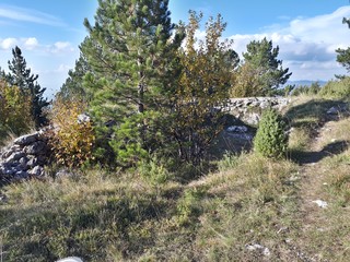 Landscape in the mountains with clouds and blue sky