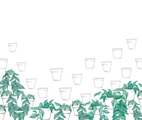 piante e vasi illustrazione. Sfondo biglietto di auguri