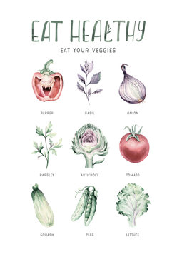 Vegetables healthy green organic set hand drawn watercolor diet menu with artichoke, broccoli, spinach, celery vitamin. Cabbage, leek and onion illustration. Isolated lettuce and radish. Squash sketch