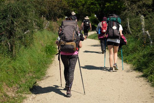 Grupo de peregrinos del Camino de Santiago a la salida de A Pena, entre Sarria y Portomar&iacute;n