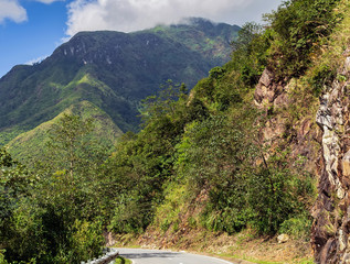 curve of the road