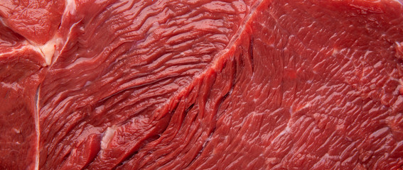Fiber texture of meat close up, panorama